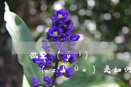 微整醫(yī)療糾紛賠償標(biāo)準(zhǔn)是如何的