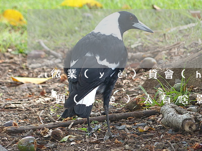 微業(yè)貸會(huì)對(duì)個(gè)人有啥影響（微業(yè)貸逾期會(huì)有什么影響）