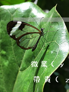 微業(yè)貸逾期合伙人用負(fù)連帶責(zé)任嗎-微業(yè)貸合伙人怎么申請(qǐng)