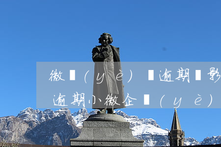 微業(yè)貸逾期會影響企業(yè)嗎（逾期小微企業(yè)貸）