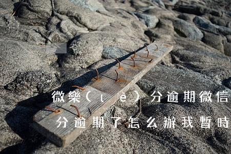 微樂(lè)分逾期微信支付(微樂(lè)分逾期了怎么辦,我暫時(shí)沒(méi)錢(qián)還怎么辦)