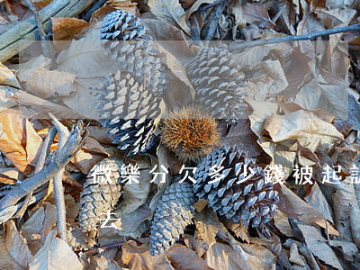 微樂分欠多少錢被起訴(微樂分起訴我沒時間去)