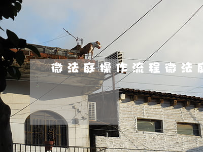 微法庭操作流程（微法庭起诉欠钱）