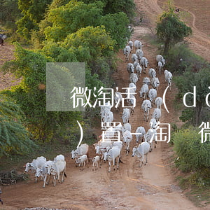 微淘活動(dòng)分期免息設(shè)置-淘寶微淘活動(dòng)都下線了嗎