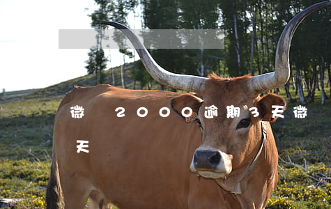 微眾2000逾期3天（微眾2000逾期3天）