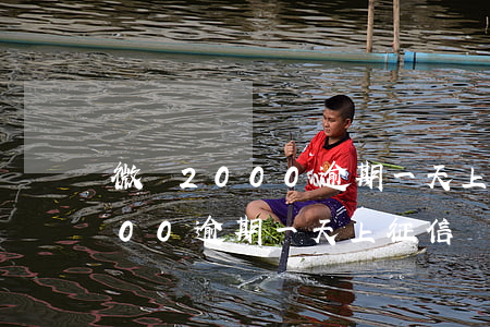 微眾2000逾期一天上征信嗎-微眾2000逾期一天上征信嗎有影響嗎