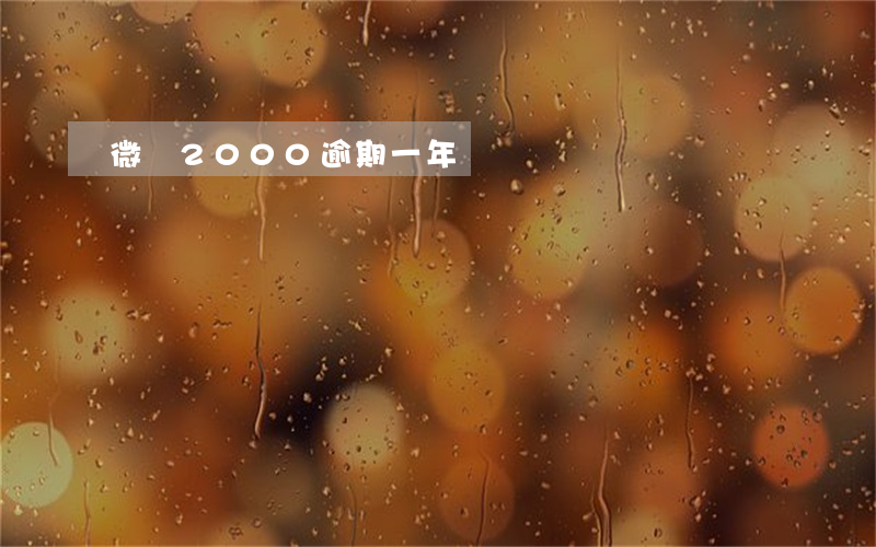微眾2000逾期一年