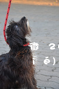 微眾2000逾期了會(huì)凍結(jié)微信嗎-微眾2000逾期了會(huì)凍結(jié)微信嗎安全嗎