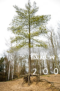 微眾w2000多久還清不算逾期-微眾w2000上征信嗎