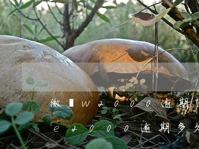 微眾w2000逾期了會被起訴嗎-微眾we2000逾期多久上征信