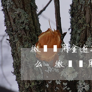 微眾備用金逾期了會(huì)扣微信零錢么-微眾備用金逾期了會(huì)扣微信零錢么嗎
