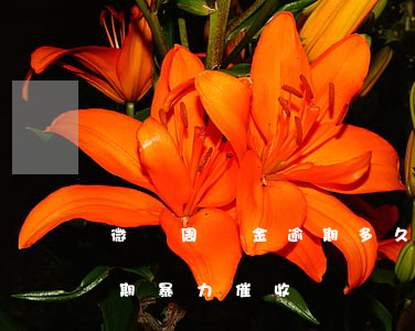 微眾周轉金逾期多久會被起訴(微眾周轉金逾期暴力催收)