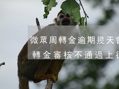 微眾周轉金逾期幾天會上征信-微眾銀行周轉金審核不通過上征信嗎