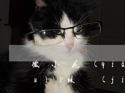 微眾小額花錢(qián)逾期微信會(huì)被凍結(jié)嗎(微眾銀行凍結(jié)了微信支付)