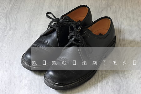 微眾微粒貸逾期了怎么辦(微粒貸逾期怎么辦)