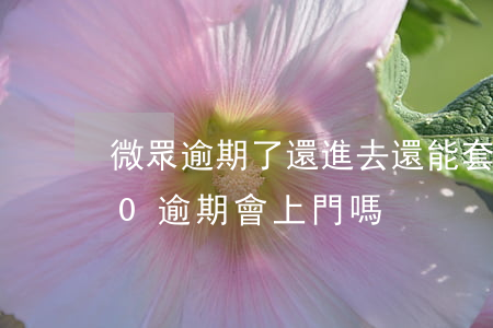 微眾逾期了還進去還能套出來嘛(微眾2000逾期會上門嗎)