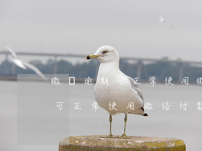 微眾逾期可正常使用微信付款嗎-微眾逾期可正常使用微信付款嗎安全嗎