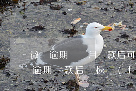 微眾逾期幾個月還款后可以再借 微眾銀行有逾期還款后會恢復(fù)額度嗎