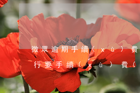 微眾逾期手續(xù)費(fèi)(微眾銀行要手續(xù)費(fèi)嗎)