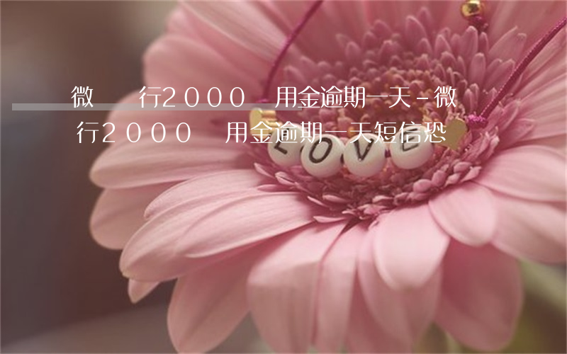 微眾銀行2000備用金逾期一天-微眾銀行2000備用金逾期一天短信恐嚇