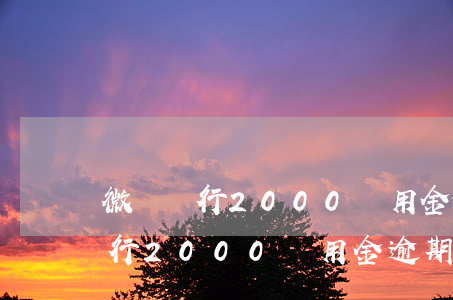 微眾銀行2000備用金逾期半年-微眾銀行2000備用金逾期半年會(huì)怎樣