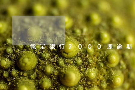 微眾銀行2000塊逾期的后果-
