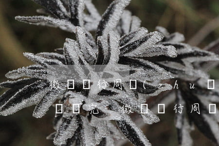 微眾銀行周轉(zhuǎn)金逾期了一年沒還完-微眾銀行周轉(zhuǎn)金逾期了一年沒還完會怎么樣