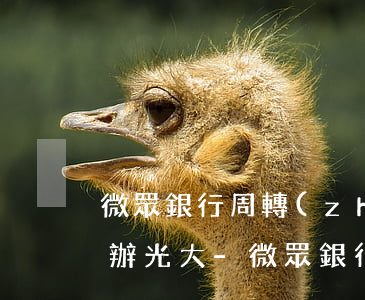 微眾銀行周轉(zhuǎn)金逾期了怎么辦光大-微眾銀行周轉(zhuǎn)金還款遲了一天會(huì)怎么樣