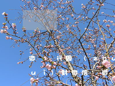 微眾銀行周轉(zhuǎn)金逾期會(huì)封微信嗎(微眾銀行周轉(zhuǎn)金被拒)