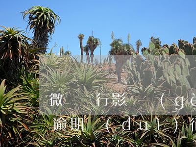 微眾銀行影響個(gè)人征信嗎（微眾銀行逾期對(duì)征信有影響嗎）