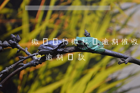 微眾銀行微粒貸逾期催收(一直收到微眾銀行的逾期貸款)