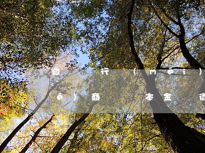 微眾銀行沒(méi)逾期前可以協(xié)商嗎還本金嗎（微眾銀行沒(méi)逾期前可以協(xié)商嗎）