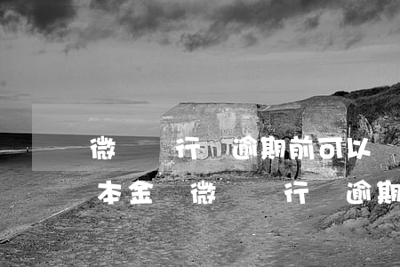 微眾銀行沒逾期前可以協(xié)商嗎還本金嗎（微眾銀行沒逾期前可以協(xié)商嗎）