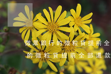 微眾銀行的微粒貸提前全部還款-微眾銀行的微粒貸提前全部還款可以嗎