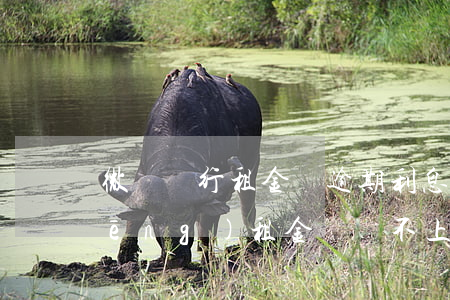 微眾銀行租金貸逾期利息 微眾銀行稱(chēng)租金貸暫不上征信