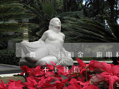 微眾銀行租金貸逾期利息 微眾銀行稱租金貸暫不上征信