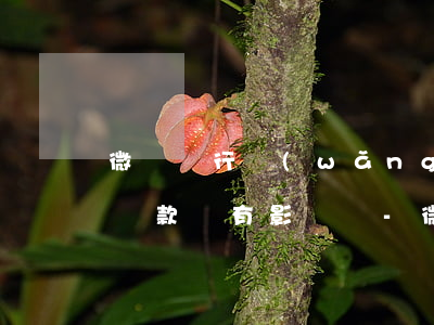 微眾銀行網(wǎng)貸按時(shí)還款會有影響嗎-微眾銀行網(wǎng)貸按時(shí)還款會有影響嗎知乎