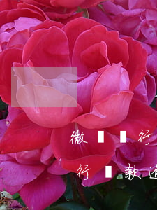 微眾銀行貸款逾期一個月了怎么辦-微眾銀行貸款逾期一個月了怎么辦啊