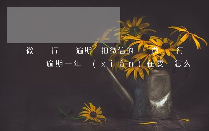 微眾銀行車貸逾期會扣微信的錢嗎(微眾銀行車貸逾期一年,現(xiàn)在要還怎么還)