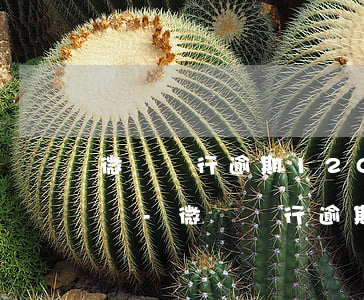 微眾銀行逾期120天了會(huì)上門嗎-微眾銀行逾期120天了會(huì)上門嗎是真的嗎