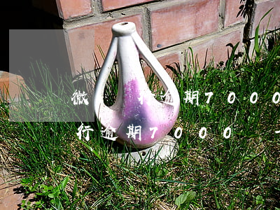 微眾銀行逾期7000塊一年多了-微眾銀行逾期7000塊一年多了怎么辦