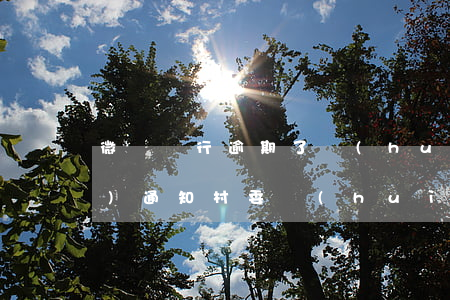 微眾銀行逾期了會(huì)不會(huì)通知村委會(huì)-微眾銀行借錢(qián)逾期了工作人員會(huì)加你微信嗎