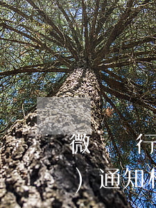 微眾銀行逾期了會(huì)不會(huì)通知村委會(huì)-微眾銀行借錢逾期了工作人員會(huì)加你微信嗎