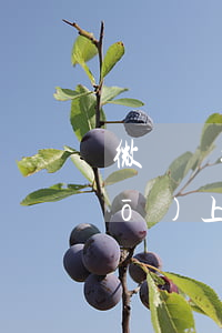 微眾銀行逾期后發(fā)短信說(shuō)上門(mén)外訪-微眾銀行逾期后發(fā)短信說(shuō)上門(mén)外訪是真的嗎