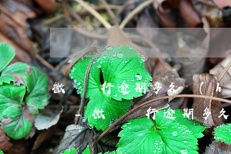 微眾銀行逾期多久會(huì)給家人打電話-微眾銀行逾期多久會(huì)給家人打電話催款
