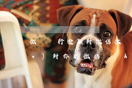 微眾銀行逾期封微信(微眾銀行有權(quán)封你的微信號(hào)嗎)