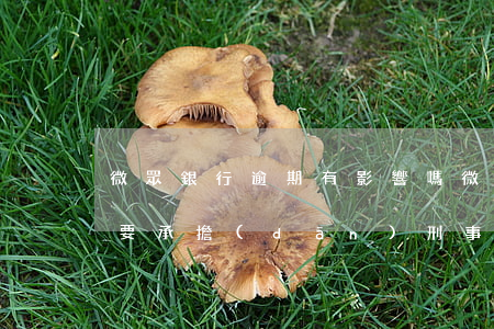 微眾銀行逾期有影響嗎(微眾銀行借款逾期需要承擔(dān)刑事責(zé)任嘛?)