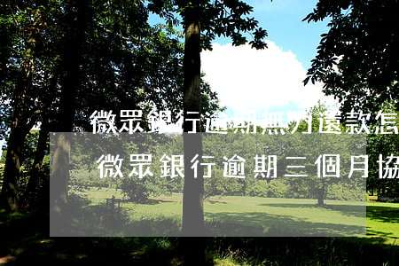 微眾銀行逾期無力還款怎么協(xié)商(微眾銀行逾期三個月,協(xié)商不成,有什么后果)