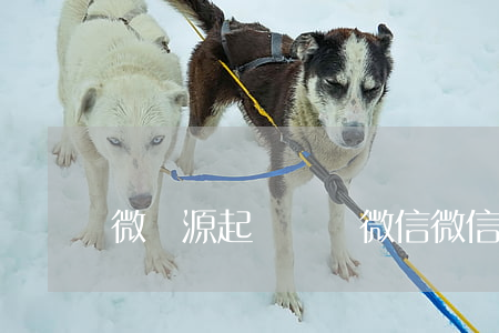 微碼源起訴騰訊微信(微信騰訊代碼)
