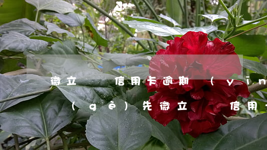 微立貸與信用卡逾期應(yīng)該還哪個(gè)先（微立貸與信用卡逾期應(yīng)該還哪個(gè)先）